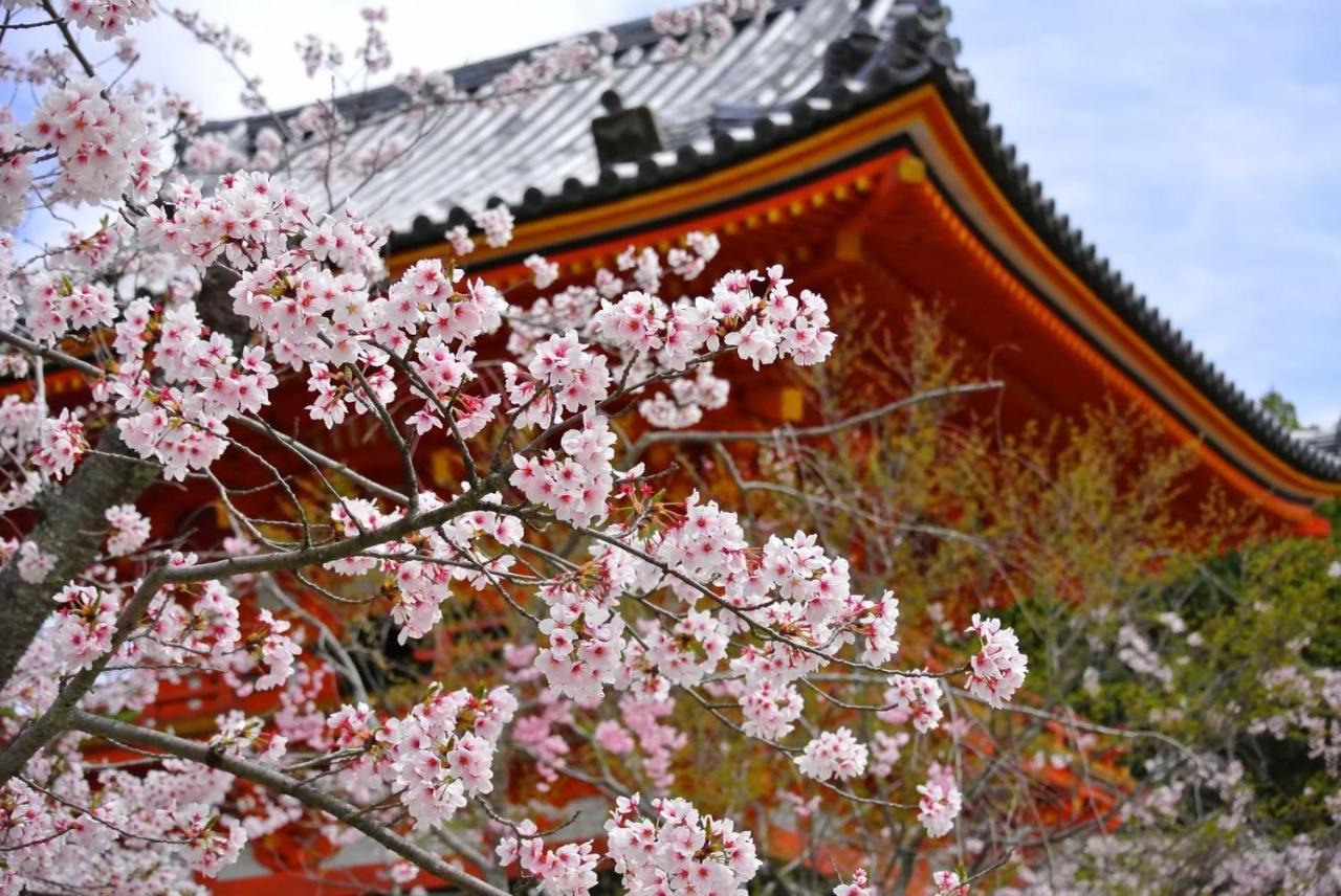 Stay Sakura Kyoto Fuga, Kyoto